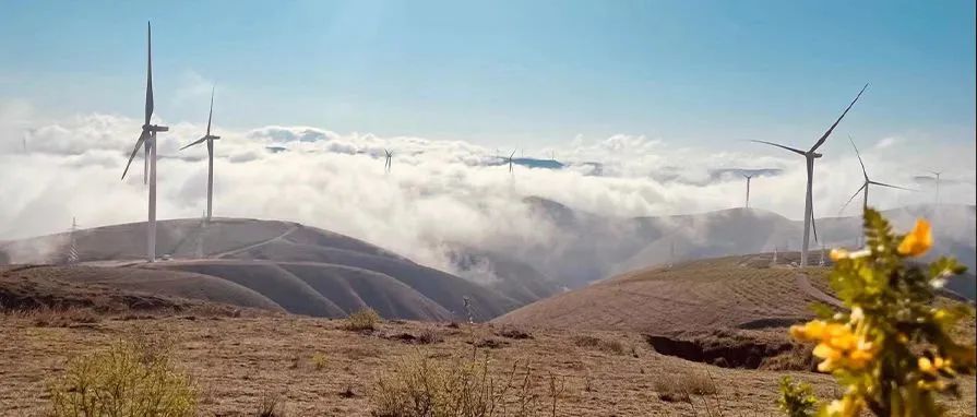 南宫集团(中国区)有限公司官网