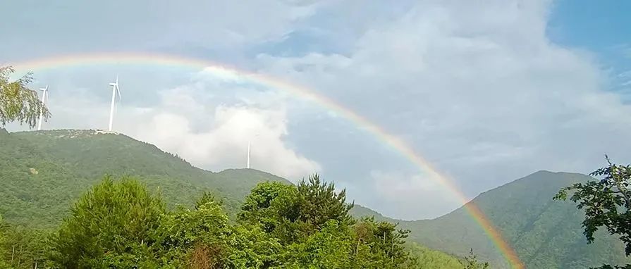 南宫集团(中国区)有限公司官网